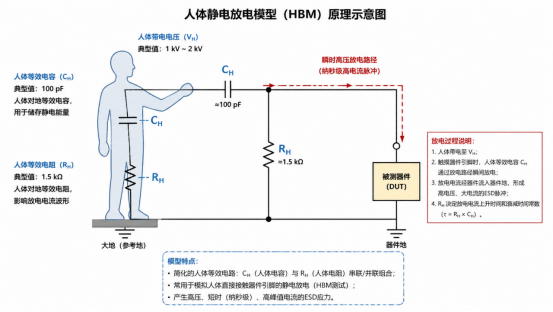 6a6801c6e6ddf.png